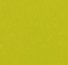 Линолеум Forbo Marmoleum Solid Piano 3646-364635 young grass фото 1 | FLOORDEALER